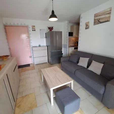 Apartman 2 Pieces Avec Loggia Amenagee A Marseillan-plage - Fr-1-326-863 *