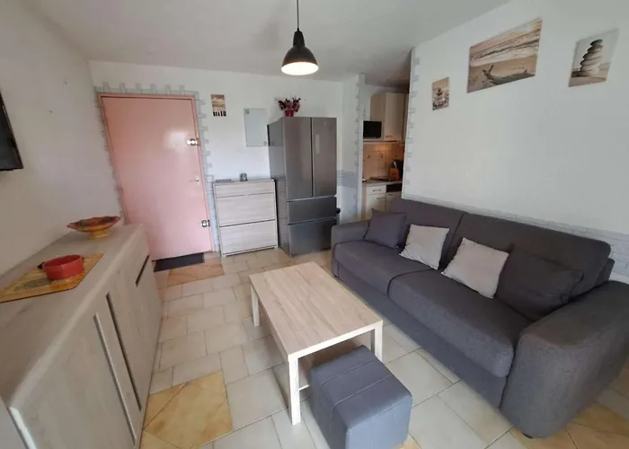 Апартаменты 2 Pieces Avec Loggia Amenagee A Marseillan-plage - Fr-1-326-863 *