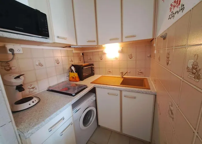 Апартаменты 2 Pieces Avec Loggia Amenagee A Marseillan-plage - Fr-1-326-863